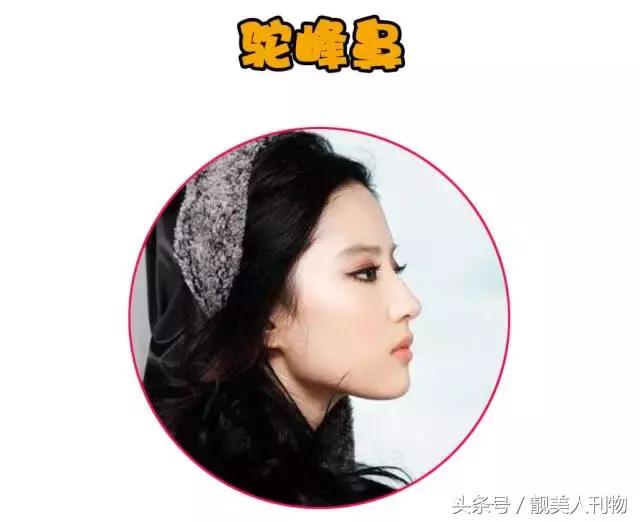 你见过塌鼻子的美女吗？