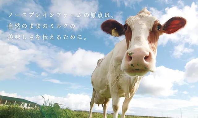 新加坡有这么多来自日本的芝士甜品，听说你“减肥”的Flag又倒了