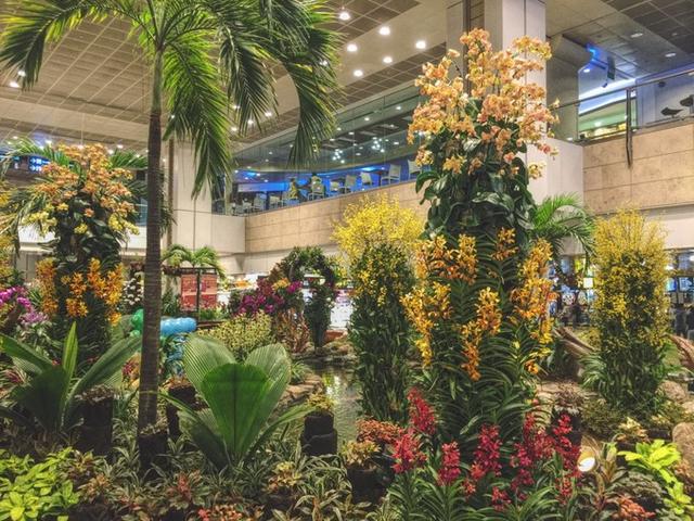 旅途随笔 游新加坡 怀着无比向往的心情来到了这儿