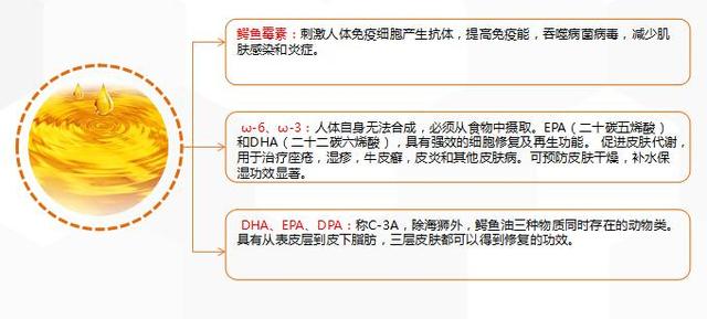 克罗黛尔品牌十五年专注鳄鱼油研究引领护肤新时尚