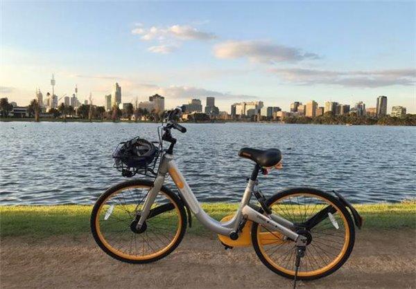 新加坡共享单车Obike遭黑客入侵！大量用户信息被泄露
