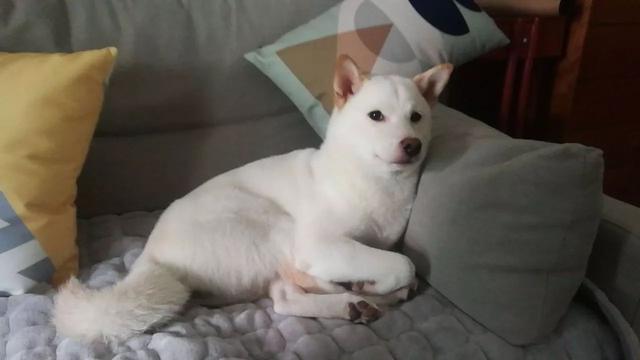2017年过去了，我不太怀念它