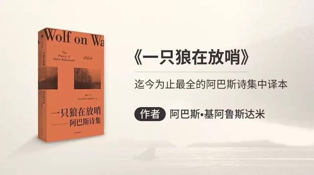 平淡粗糙的人生需要提炼与修饰，这就是诗歌的魅力