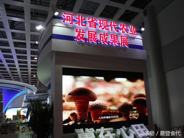 “平泉香菇”已成为河北省现代农业发展典型品牌