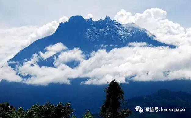 「沙巴」美景+蓝海之星海上餐厅+波令温泉+树顶雨林吊桥+奶牛农场