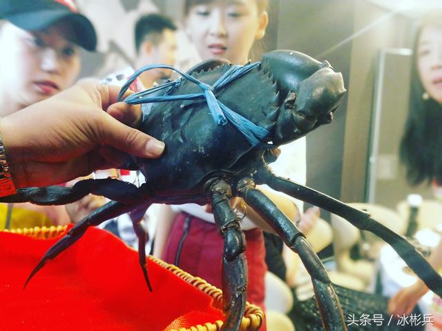 直击：不用出西安，就可以品尝到地道的新加坡国宝级辣椒螃蟹