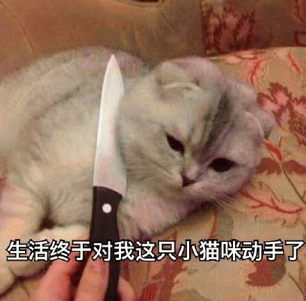 618最后一单，我把钱都花在了它！们！身！上！
