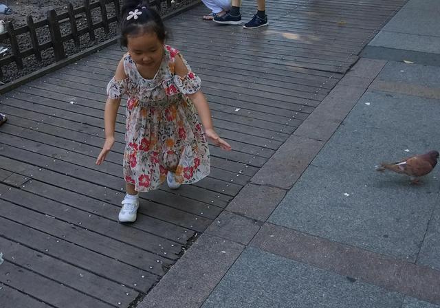 「爱传小子」学弘一法师！爱在传递公司创始人陈一元断食十一天！