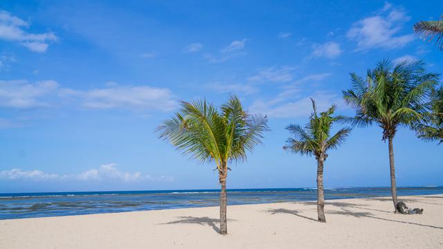 巴厘岛闺蜜逛吃行纪，海量美图外加详细攻略