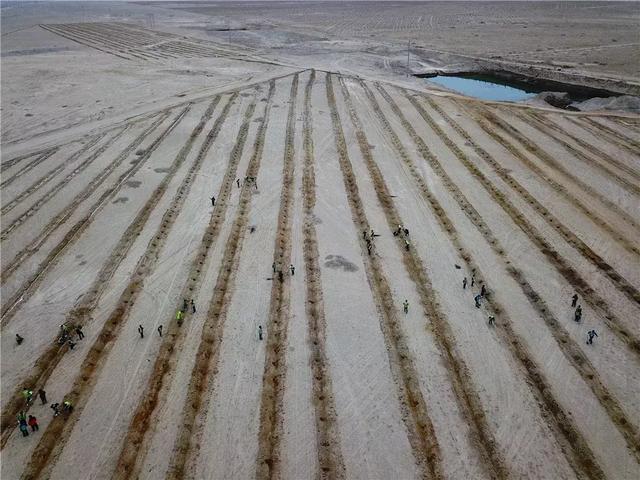 一年400亿件快递产生800万吨垃圾，物流巨头联手做了这样一件事