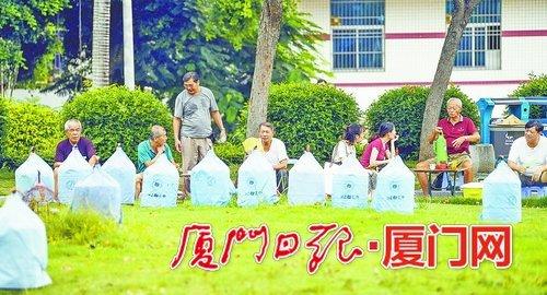 厦门老人爱养鸟 南湖公园及万石山脚下来聚会