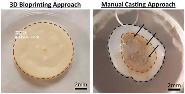 科学家发现新的3D生物打印技术，可生成具有复杂孔隙结构自然色素的人体皮肤