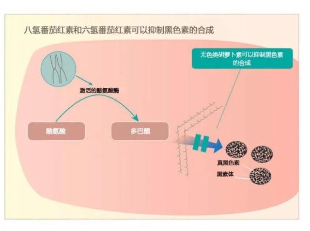 Pola都要退让3分！以色列科学家12年研发特种水晶番茄，2周“漂白”肌肤！权威验证！