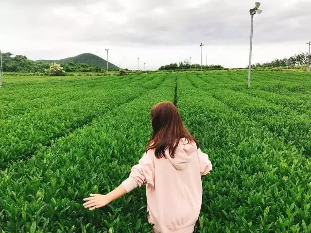 去东南亚旅行，这样穿衣，拍照才好看！