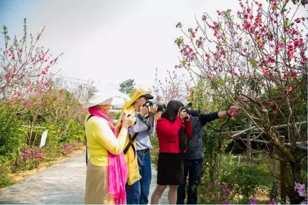 2018中国南海渔都（阳江）美食文化节——阳江乡村旅游精品路线