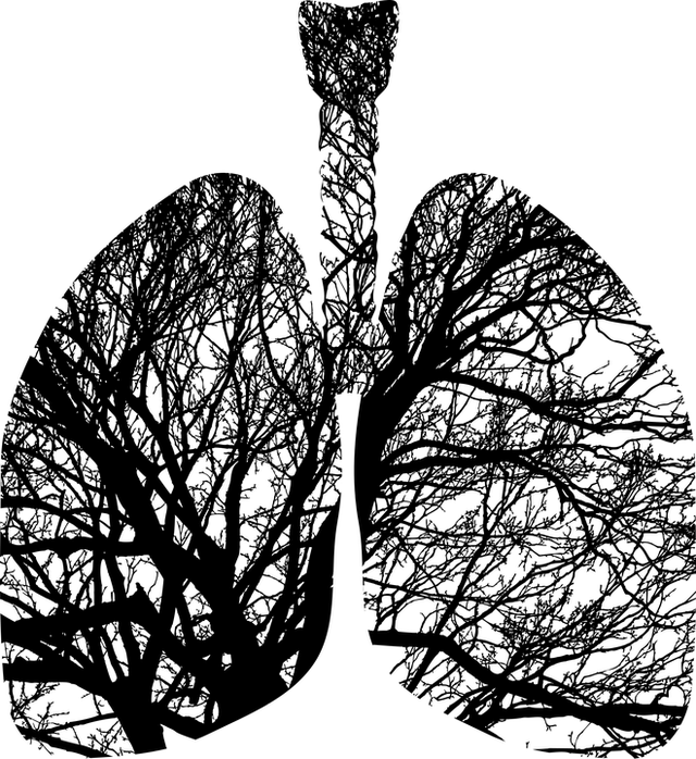 远离4大危险因子，避免肺癌找上门