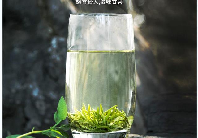 茶百科丨绿茶的16个冷知识