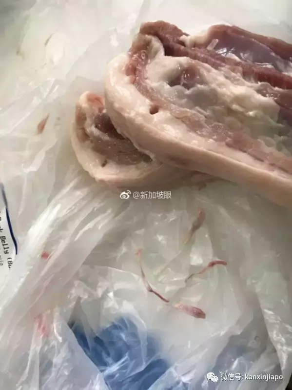 “我在新加坡买的猪肉，竟然有绦虫？！”