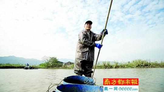 养鱼每亩收入过万元 要为“肇实”申请广东老字号