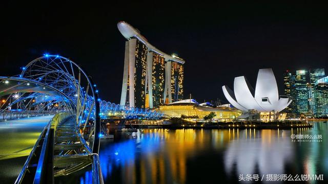 点亮参天花树.炫幻夜色新加坡