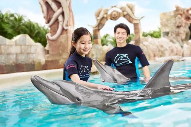 新加坡亲子独特体验：与海洋精灵海豚和魟鱼来个亲密接触