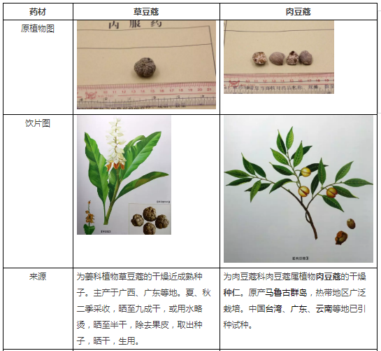 它俩名字都带“豆蔻”，功效却大不一样！