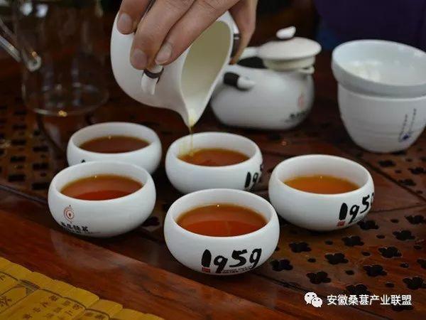 看世界杯喝桑叶茶！