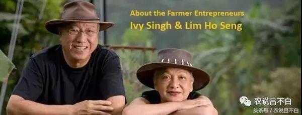 这36个小农场，共享同一个品牌，新加坡必去景点