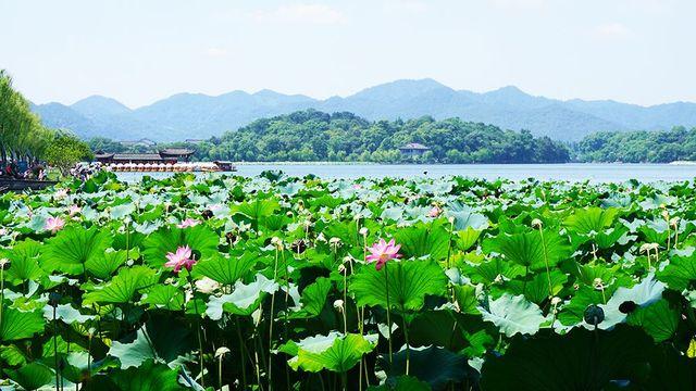 6月机票白菜价！深圳到抖音网红城市，最低只要275元！