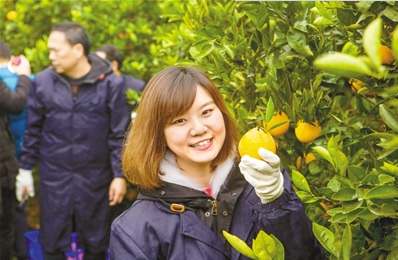 留学女博士要把奉节脐橙卖到全世界