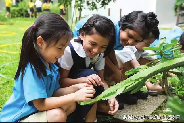 新加坡留学｜在新加坡上学，孩子的英语水平想不提升都难！