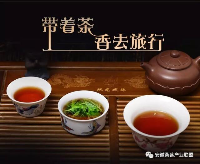 看世界杯喝桑叶茶！