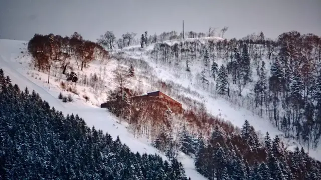 一价全包！北海道冬季早鸟配套疯狂打call，