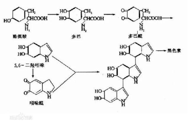 可乐减肥？滴血验癌？2017年生活类十大谣言，你中招了吗？