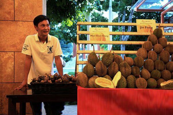 「逍遥志」这种在中国富有争议的水果，在新加坡却深受喜爱
