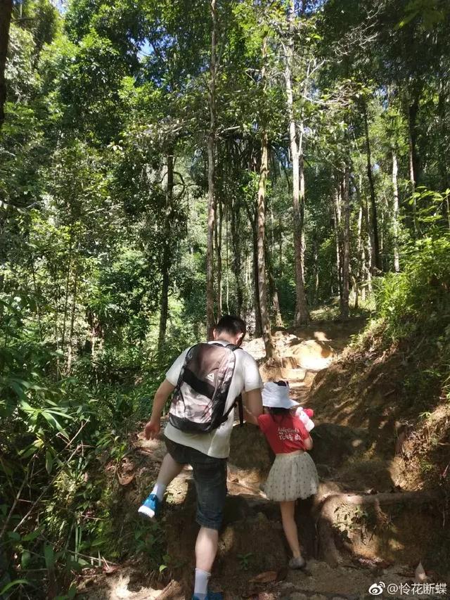 游记｜“冬天，让我们去热带的岛屿游泳！”泰国篇