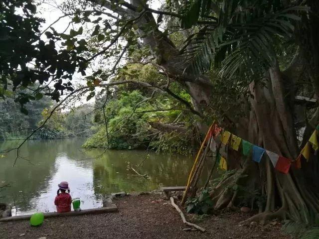 我把孩子丢在泰国幼儿园一个月，顺便去旅了个游