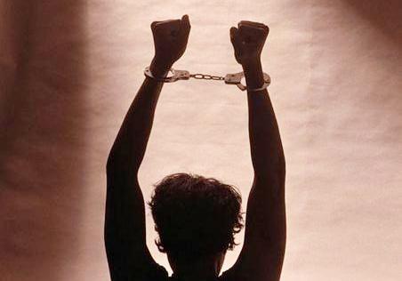 免费蘑菇宴实为集资诈骗 被告人一审被判有期徒刑十三年