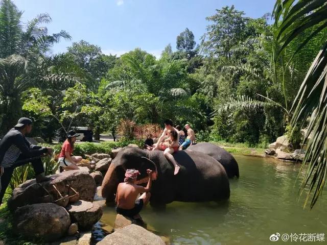 游记｜“冬天，让我们去热带的岛屿游泳！”泰国篇