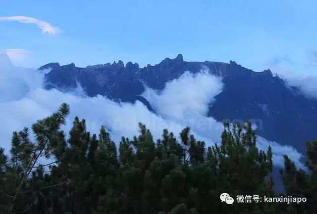 「沙巴」美景+蓝海之星海上餐厅+波令温泉+树顶雨林吊桥+奶牛农场