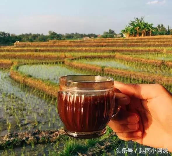 这位新加坡的印尼姑娘，靠日本美食狂吸40万粉丝，成为INS网红！