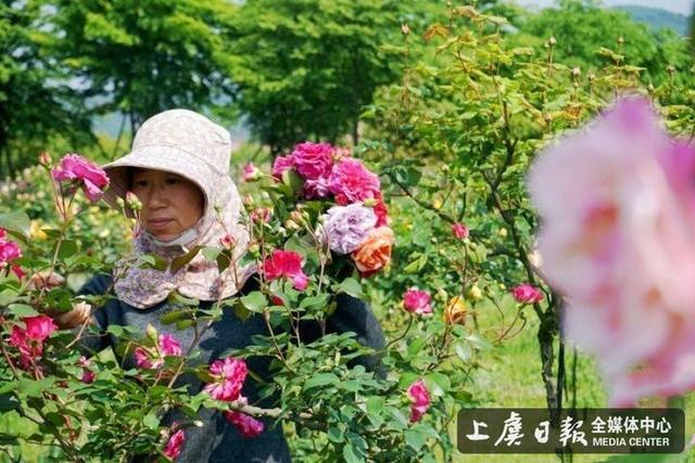 悠游玫瑰园变着法儿卖“花”钱