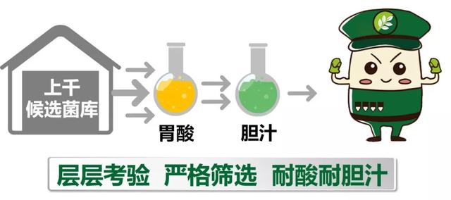 别上当了！益生菌是骗局？撇开使用条件谈疗效都是不正经！