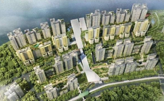 新加坡变身“菜园城市”，强制满院子的种菜？路边能种萝卜吗？
