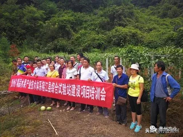 贵州80后大学生返乡创业，如今年入百万，要带村民一起致富