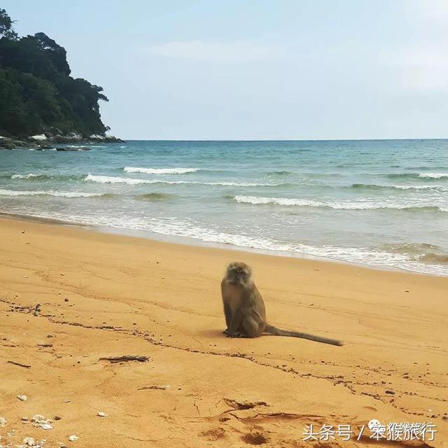 世界十大海岛之一，太平洋上的潜水天堂，景色比肩大溪地