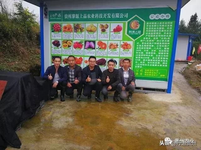 贵州80后大学生返乡创业，如今年入百万，要带村民一起致富