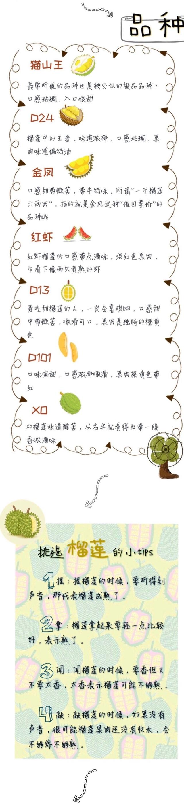 新加坡终极榴莲指南