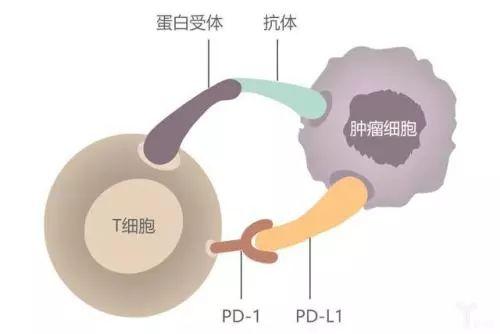 舆情速览｜广东省东莞市查获假冒调味料1.05吨