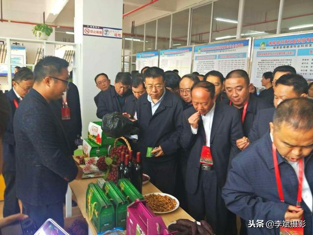 贵州80后大学生返乡创业，换个“脑壳”种地，如今年入百万